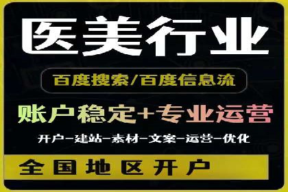 SEM代运营案例分析：精准投放策略解析
